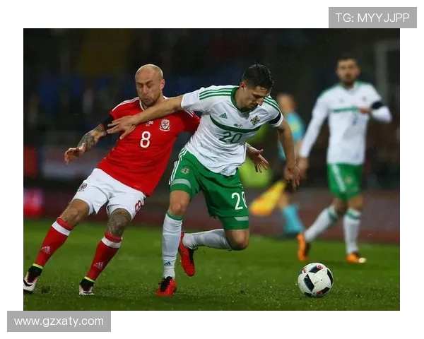 威尔士与爱尔兰精彩对决直播信息及赛前分析一览