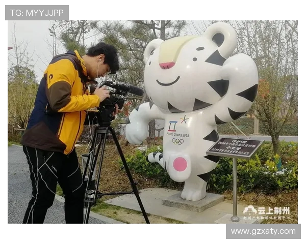 韩国与中国央视网的对比分析与文化交流探讨