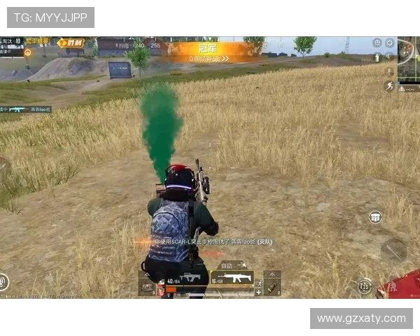 和平精英热点分析：深入探讨LNG战队的整体压制策略与表现