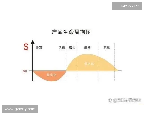 LNG快攻策略深度解析及其在市场竞争中的应用探讨