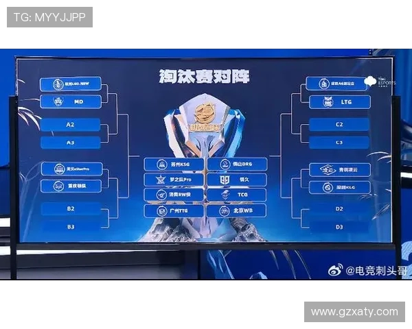 TES在挑战者杯中的速度表现分析与战术解读 TES在挑战者杯中的速度表现分析与战术解读