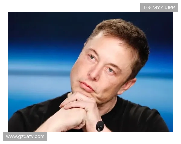 广州攀岩队状态对比独家分析揭示训练与比赛表现的深层关系